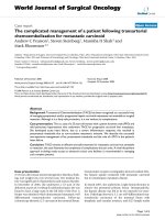 Báo cáo khoa học: 