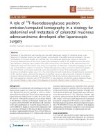 báo cáo khoa học: 