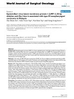 Báo cáo khoa học: 