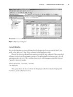 Beginning C# 2008 Databases From Novice to Professional phần 3 doc