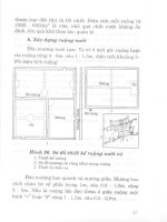 Kỹ thuật mới nuôi thủy đặc sản nước ngọt part 4 pdf