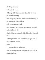 Hệ thống tiêu nước ppt