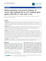 Báo cáo khoa học: 