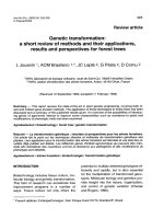 Báo cáo khoa học: 