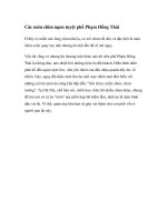 Các món chim ngon tuyệt phố Phạm Hồng Thái pdf