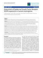 Báo cáo khoa học: 