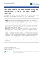 Báo cáo khoa học: 