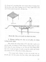 Kỹ thuật mới nuôi thủy đặc sản nước ngọt part 6 potx