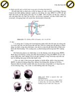 Tài liệu tham khảo: Hướng dẫn sử dụng phương pháp nội soi vào việc trị bệnh phần 3 potx