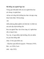 Hệ thống của ngành Ngọc lan ppsx