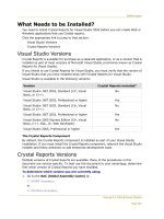 Crystal Reports For Visual Studio 2005 phần 10 pot