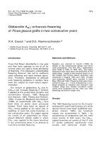 Báo cáo lâm nghiệp: 