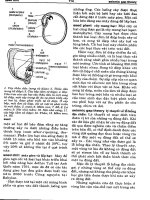 Từ điển khoa học kỹ thuật Anh - Việt part 9 pdf