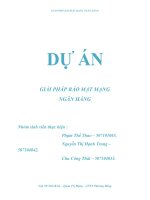 Dự án giải pháp bảo mật mạng ngân hàng pot