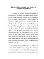 Giáo trình hình thành các mô hình kinh tế trong lịch sử nhân loại phần 1 ppsx