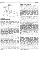 Từ điển khoa học kỹ thuật Anh - Việt part 6 pdf