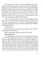 Kỹ thuật sản xuất giống và nuôi cá rô phi đạt tiêu chuẩn vệ sinh an toàn thực phẩm part 10 potx