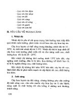 Kỹ thuật trồng hoa part 10 pps