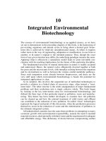 Environmental Biotechnology - Chapter 10 ppsx