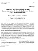 Báo cáo toán học: 