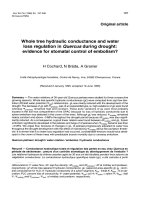 Báo cáo lâm nghiệp: 