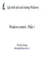 Lập trình trên môi trường Windows pptx
