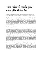 Tìm hiểu về thuốc gây cảm giác thèm ăn potx