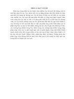 Báo cáo dược lâm sàng docx