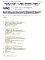 Oracle Database 10g Real (RAC10g R2) on HP-UX Installation Cookbook phần 1 pdf