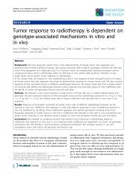 Báo cáo khoa học: 