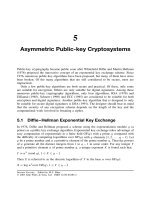 Internet Security Cryptographic Principles, Algorithms and Protocols - Chapter 5 ppt