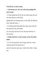 Vấn đề bảo vệ môi trường + ppsx