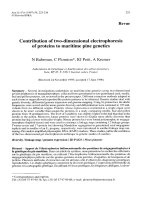 Báo cáo khoa học: 