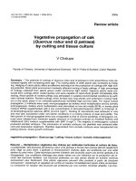 Báo cáo khoa học: 