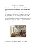 Chọn ánh sáng cho các không gian pps