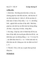 Đại số 9 - Tiết 29 ôn tập chương docx