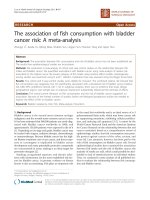 báo cáo khoa học: 