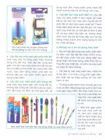 Kỹ thuật nuôi cá rồng part 6 pot