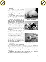 Giáo trình hướng dẫn cách tiêu hóa thức ăn ở động vật có vú và động vật bò sát phần 7 doc