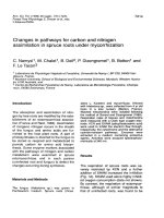 Báo cáo lâm nghiệp: 