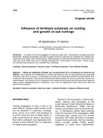 Báo cáo khoa học: 