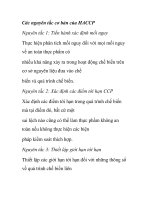 Các nguyên tắc cơ bản của HACCP pdf