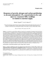 Báo cáo khoa học: 