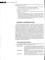 modern database management 8th edition PHẦN 6 ppsx