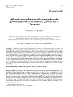 Báo cáo khoa học: 