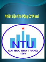 NHIÊN LIỆU CHO ĐỘNG CƠ DIESEL pptx