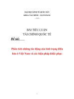 Tiểu luận: Phân tích những tác động của tình trạng đôla hóa ở Việt Nam và các biện pháp khắc phục ppt