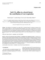 Báo cáo khoa học: 