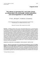 Báo cáo lâm nghiệp: 