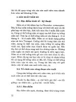 Tổ chức sản xuất một số loại nấm ăn ở trang trại và gia đình part 7 potx